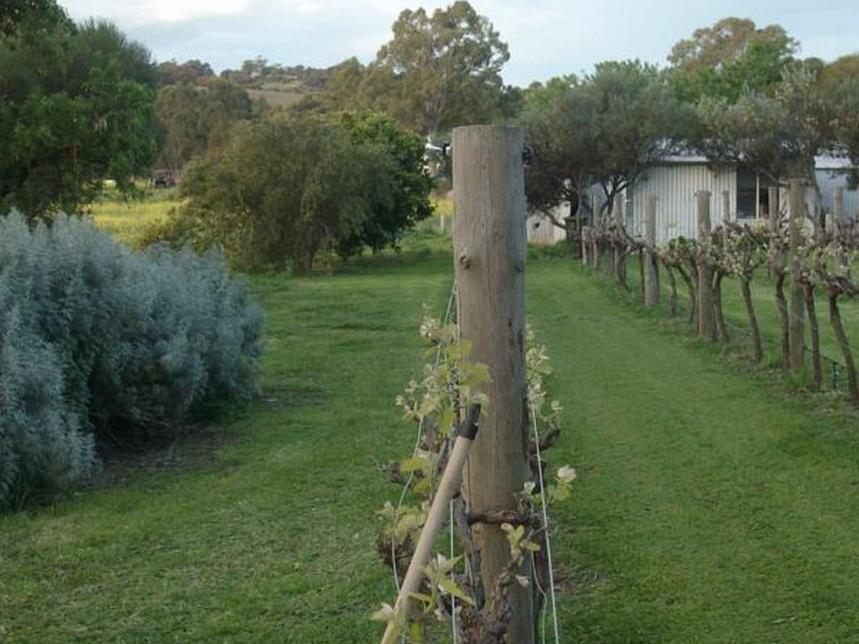 Southern Vales Bed & Breakfast Макларън Вейл Екстериор снимка
